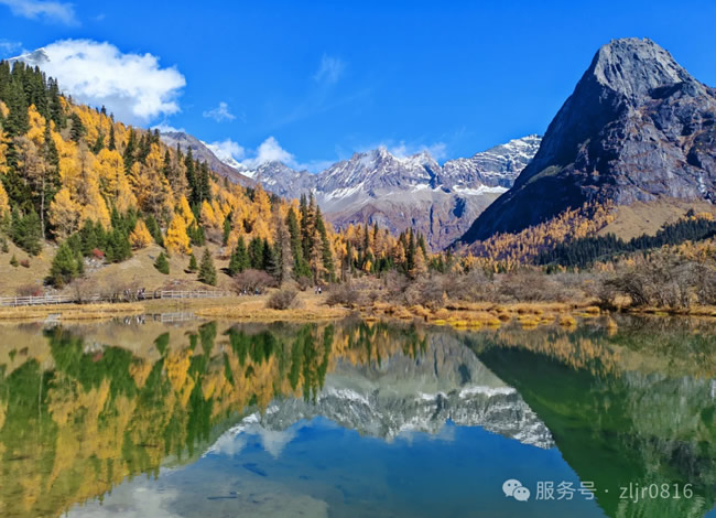 &#20339;&#21338;&#23448;&#26041;&#32593;&#31449;&#95;&#20339;&#21338;&#106;&#105;&#97;&#98;&#111;&#40;&#20013;&#22269;&#41;