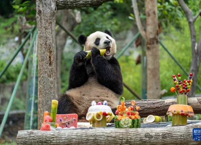 &#20339;&#21338;&#23448;&#26041;&#32593;&#31449;&#95;&#20339;&#21338;&#106;&#105;&#97;&#98;&#111;&#40;&#20013;&#22269;&#41;